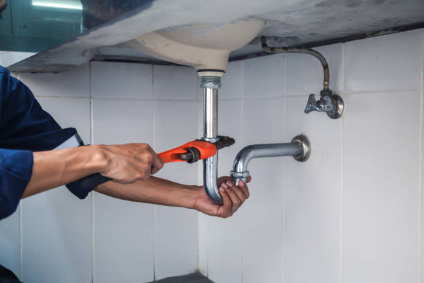 Best Emergency Plumber  in Comstock Northwest, MI