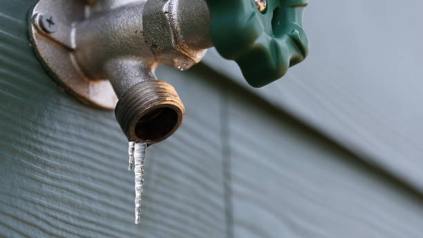 Best Residential Plumbing Services  in Comstock Northwest, MI